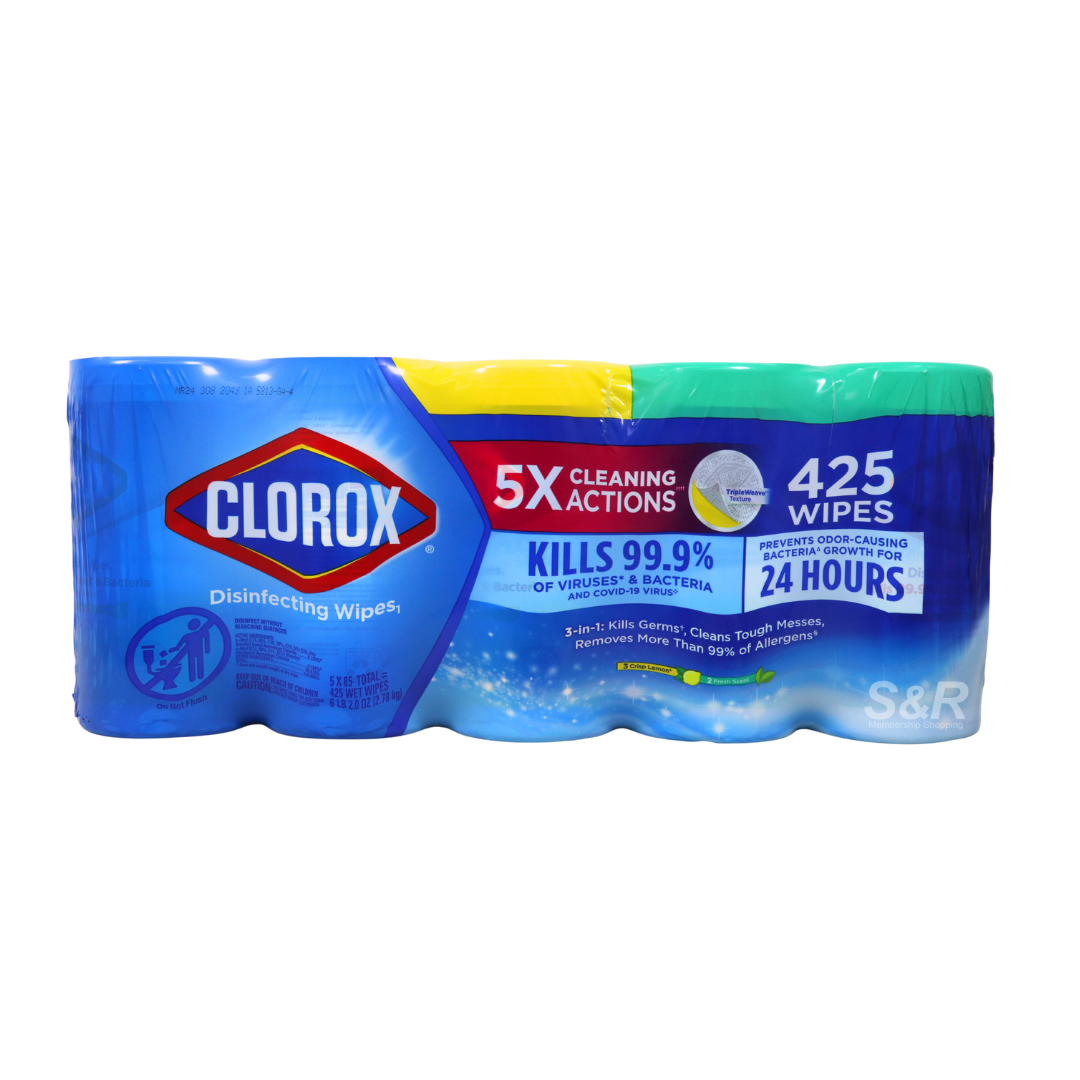 Clorox 5-pack Disinfecting Wipes